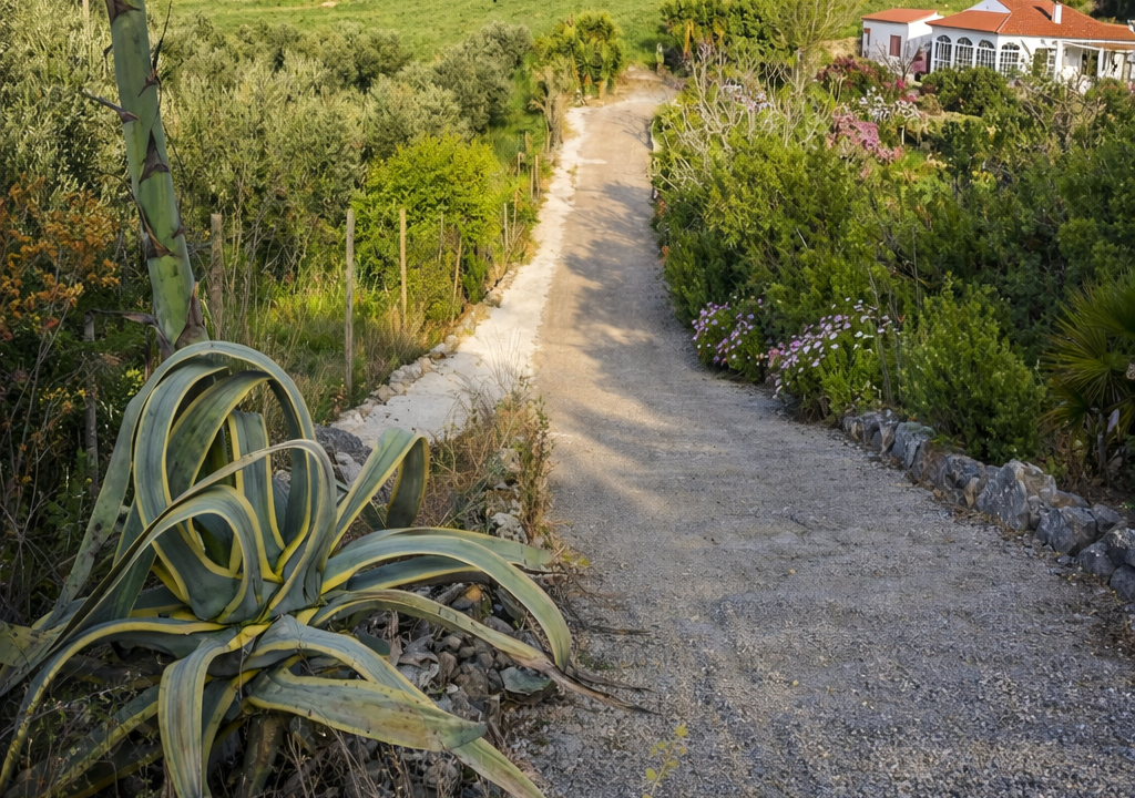 81039680-3CC4-4E96-9182-F2464E013B9A